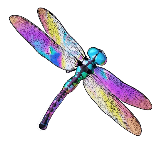 Dragonfly symbol - purple dragonfly